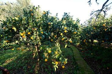 Hotel La Mimosa Case Vacanze