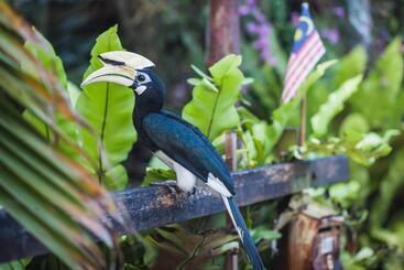 Hotel Anjungan Beach Resort