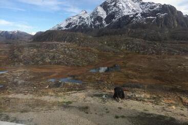 تختخواب و صبحانه Villa