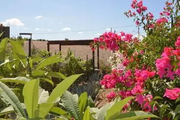 Hotelli Casa Berty 1