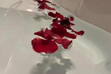 בית מלון כפרי Kanyon Vadi̇