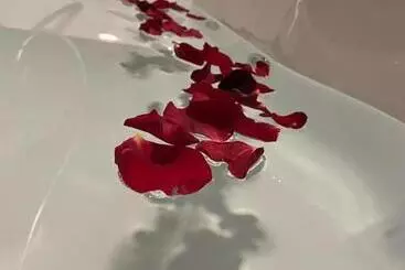 ホテル Kanyon Vadi̇