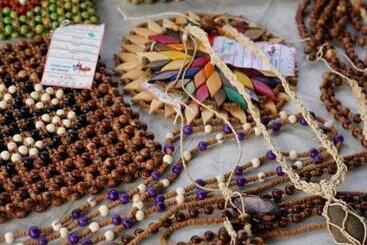 Pension Luz Amazônia Lodge