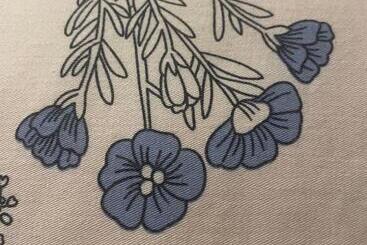 تختخواب و صبحانه Stebucklas