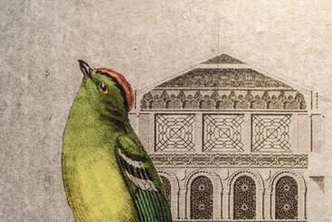 Bed and Breakfast Atalaia