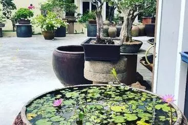Pensionat Bonsai Homestay Kluang   B17