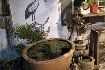 ペンション Lung Tok Entreprise 茶馆民宿