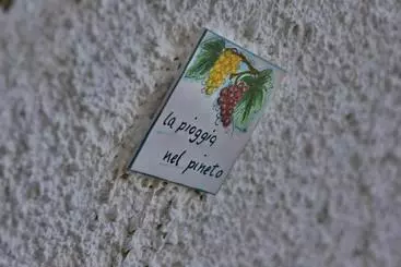 Il Tremolar Della Marina