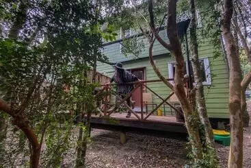 ホテル Cabanas Ensenada Bosque Nativo