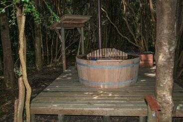 Hotel Cabanas Ensenada Bosque Nativo