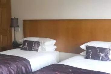 B&b The Silver Eel