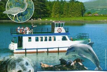 ベッドアンドブレックファースト Harbour View