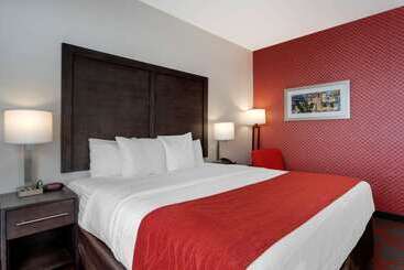 בית מלון כפרי Comfort Inn & Suites Near Stadium