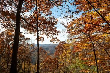 קוטג'' Valley Overlook
