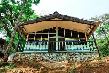 Hôtel Jungle Adventure Homestay