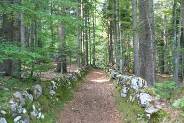 호텔 Albergo Miramonti