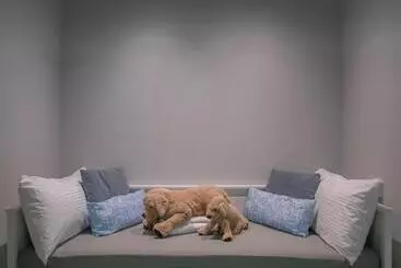 Retkeilymaja Bluewaters Collab Quarters