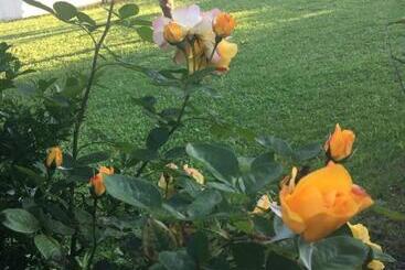 Bed and Breakfast Chambre Privée Dans Villa Provençale