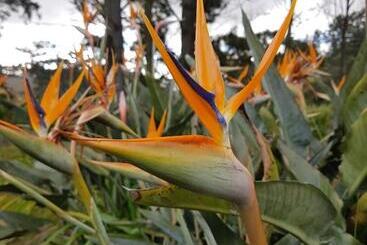 민박 Wildekrans Country House