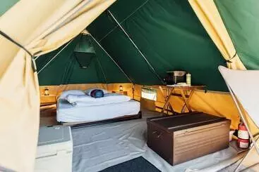 White’s Landing Catalina Camp