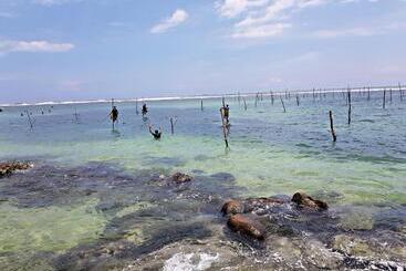 تختخواب و صبحانه Villa Blue Ocean