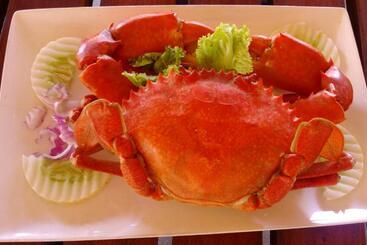 تختخواب و صبحانه Werala Beach Resort