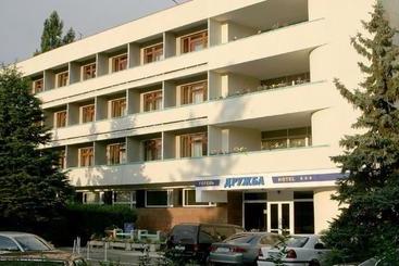 בית מלון כפרי Complex Druzhba