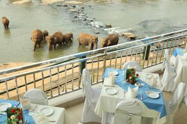 Hotel Pinnalanda New Deal! Half Off Airport Pickups Available