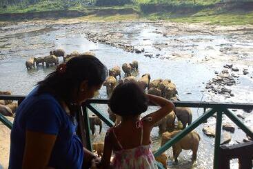 ホテル Pinnalanda   New Deal! Half Off Airport Pickups Available