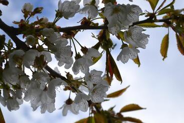 Hotel Schnider Bed&breakfast Und Café