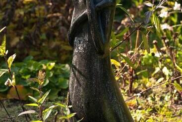 Bed and Breakfast De Violier