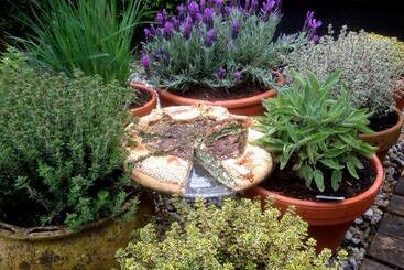 Bed and Breakfast Tussen De Tuinen