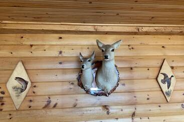 Hopewell Rocks Motel & Country Inn