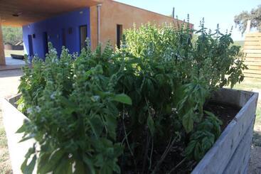 مبيت وإفطار Fundació L'olivar