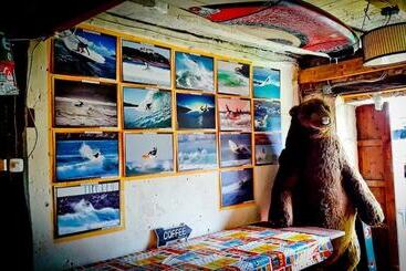 Surftolive House   Hostel