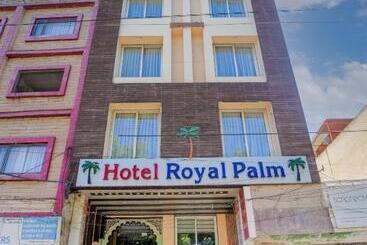 Royal Palm   A Budget Hotel In Udaipur