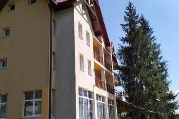 ホテル Pensiunea Cabana Art