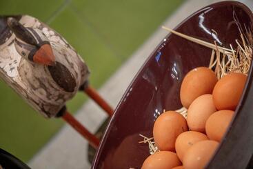 فندق Hubertus Dolomites