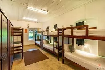 Retkeilymaja Zostel Plus Wayanad