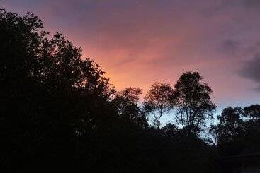 هتل แกรนด์ ฟอเรสท์ Grand Forest