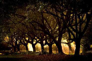 민박 Cape Trib Farm