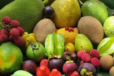 Bed and Breakfast Cape Trib Farm