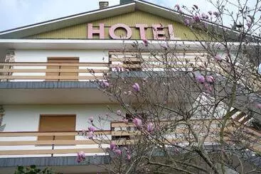 Hotel El Pinar