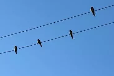 Bed and Breakfast Trulli Oiseaux Migrateurs