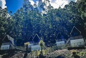 Pension  The Soul Of Vattavada