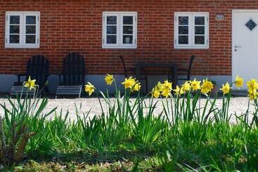 Adventure Park Apartments