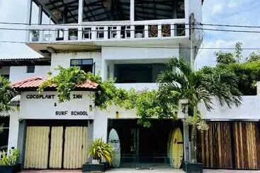 Bed and Breakfast Cocoplant Surf Inn