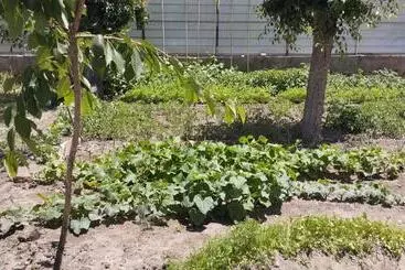 Albergue Milikbek Dodikhudo