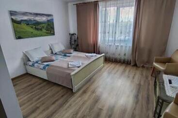 펜션 Casa Cosmin Cincu