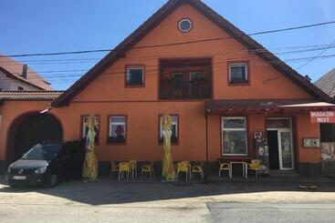 Pensión Casa Cosmin Cincu